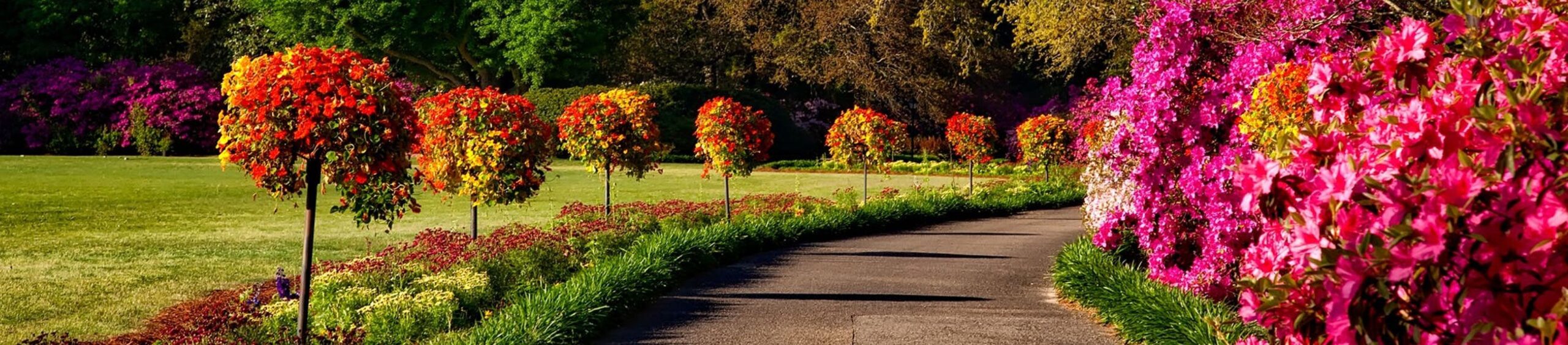 Floral Pathway
